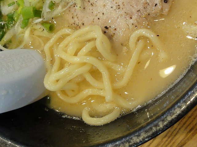 1608a024.jpg