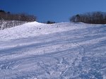 0801a070.jpg