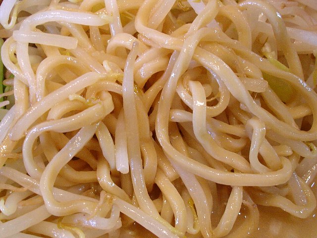 0802a044.jpg