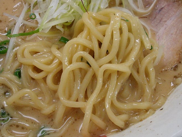 0809a018.jpg