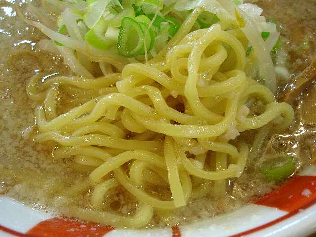0809a044.jpg