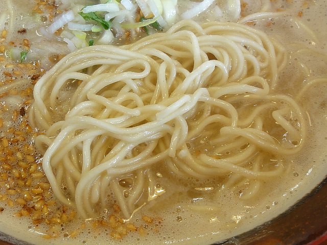 1108a043.jpg